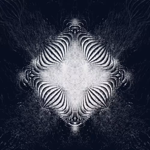 Item #1000000026 Media