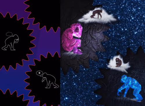 Nft Monky Contamination