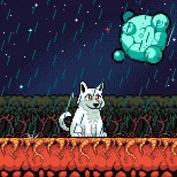 #81