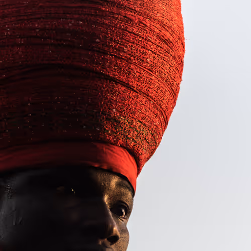 Dogari