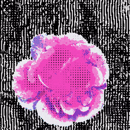The Cultivation