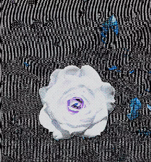 Item #18 Media