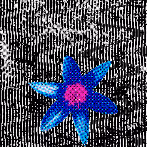 The Cultivation