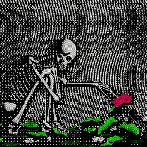 The Cultivation