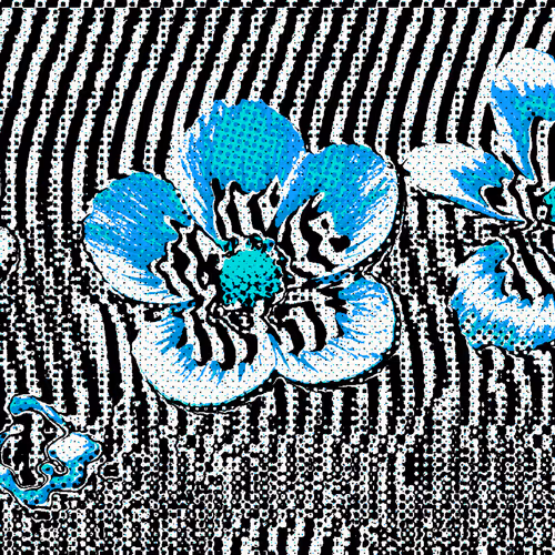 The Cultivation