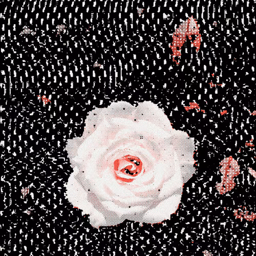 The Cultivation