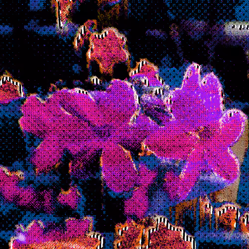 Special 10.10