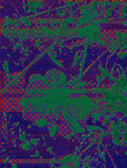 Item Media