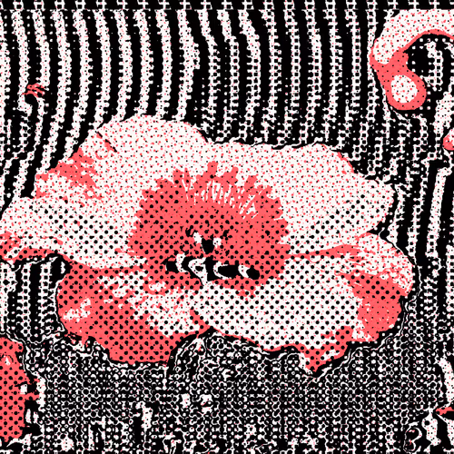 The Cultivation