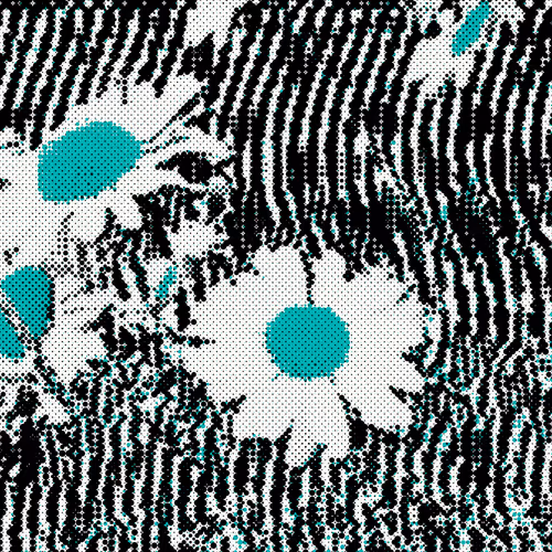 The Cultivation
