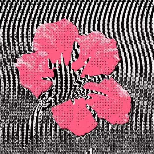 The Cultivation