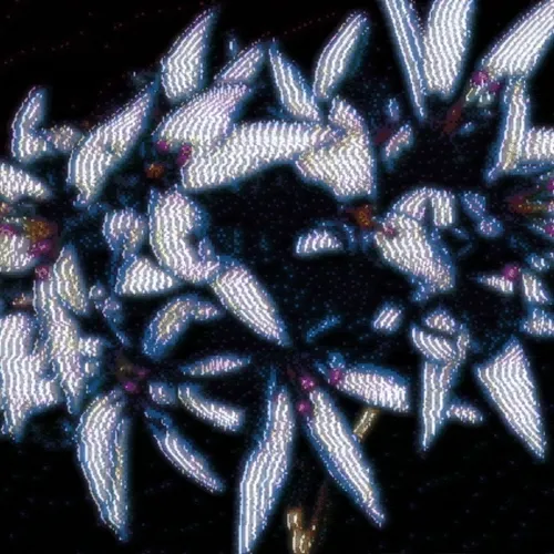The Cultivation