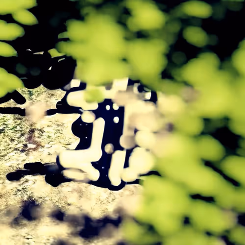 Item #3806213594 Media