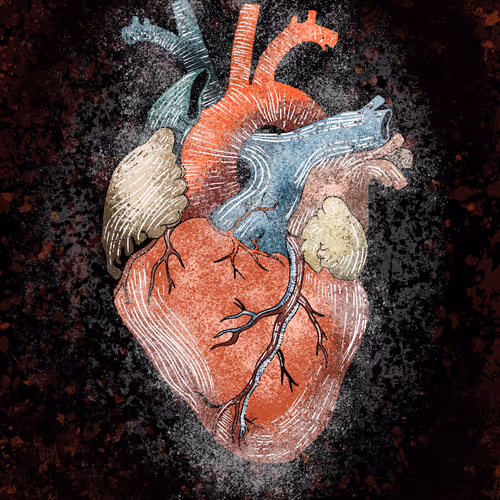 You Make My Heart Explode