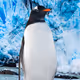 8835
