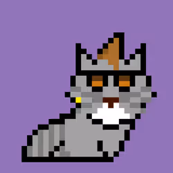 PixelPussy #25