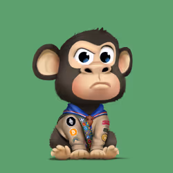 Ape Kids Club #6376