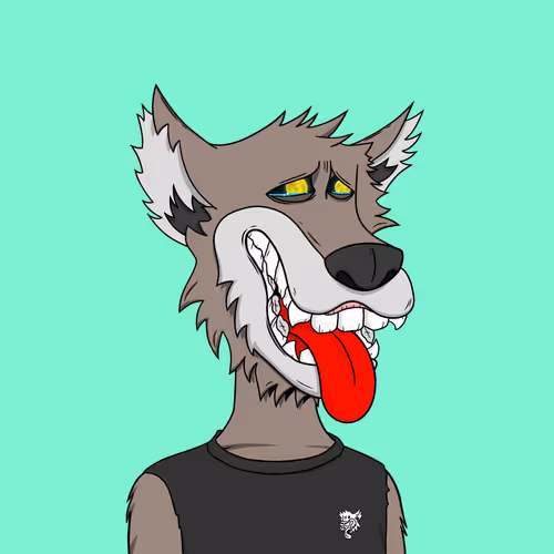 Moon Believerz