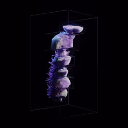 Zen Block #0117