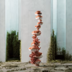 Zen Block #0764