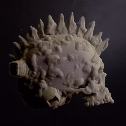 Item #61900060003 Media