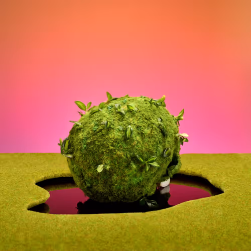 Item #61900030004 Media