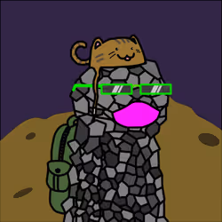 43