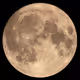 Test MT V1