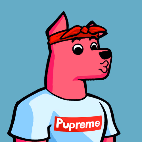 Dog #6384