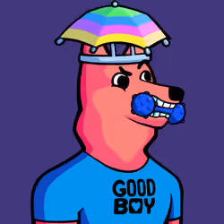 Dog #6942