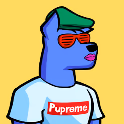 Dog #7854