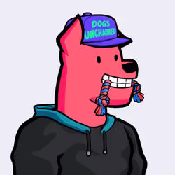 Dog #5008
