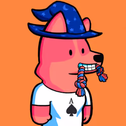 Dog #333