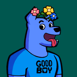 8467