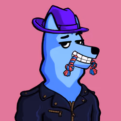 Dog #6603