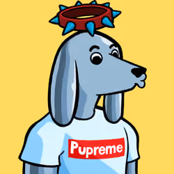 Dog #6379