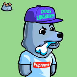 Dog #530