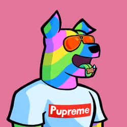 Dog #7237