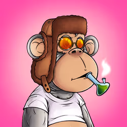 Fat Ape Baby #99