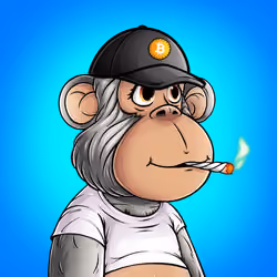 Fat Ape Baby #54
