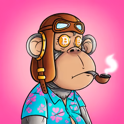 Fat Ape Baby #2221