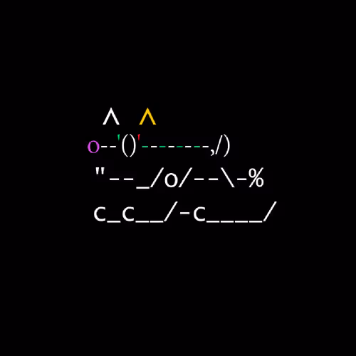 0xshibs
