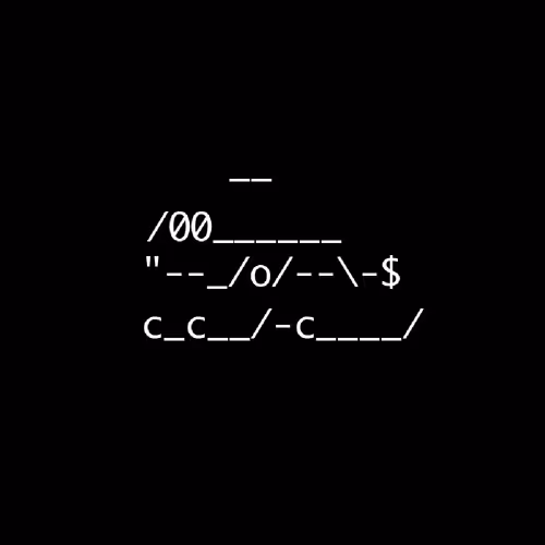 0xshibs