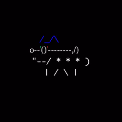 0xShibs #5905
