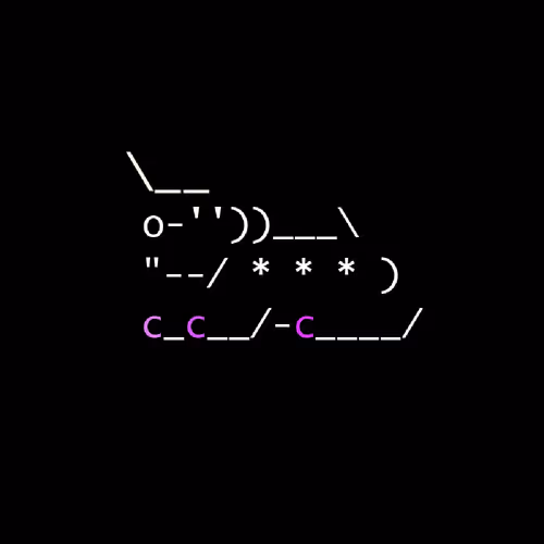 0xshibs