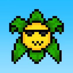 Satoshi Flowers #13