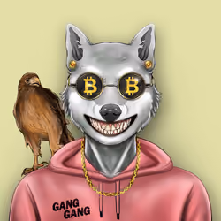 Meta Rich Club #260