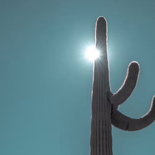 Minimals of the West