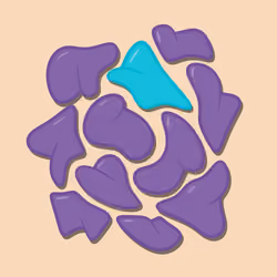 Lobe #45