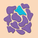 45